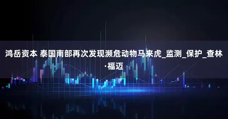 鸿岳资本 泰国南部再次发现濒危动物马来虎_监测_保护_查林·福迈