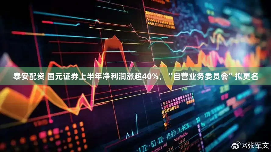 泰安配资 国元证券上半年净利润涨超40%，“自营业务委员会”拟更名