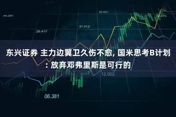 东兴证券 主力边翼卫久伤不愈, 国米思考B计划: 放弃邓弗里斯是可行的