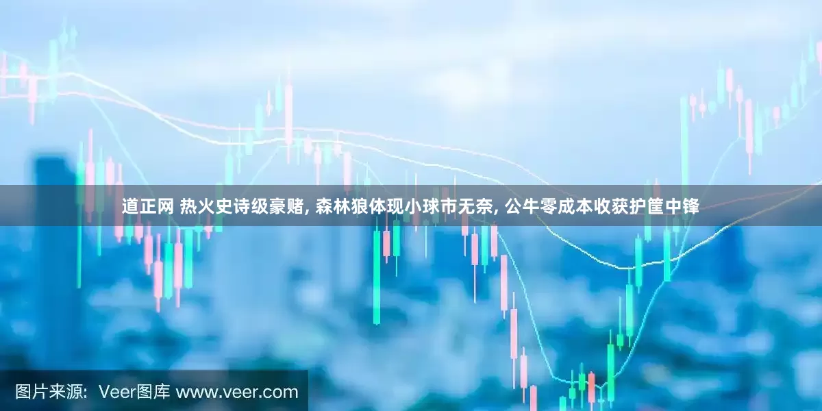 道正网 热火史诗级豪赌, 森林狼体现小球市无奈, 公牛零成本收获护筐中锋